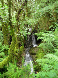 Fervenza do Pico Vello (As Pontes)