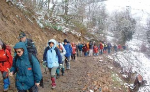 A XIX MArcha de Montañistas Veteranos celébrase nos montes de Oia e Baiona esta fin de semana